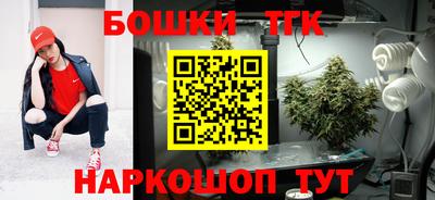 амф Обь