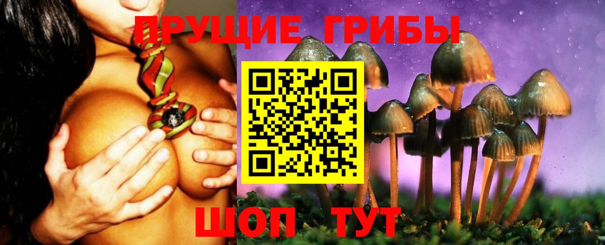 Псилоцибиновые грибы мухоморы  Вход с VPN  Первоуральск  Галлюциногенные грибы мухоморы 